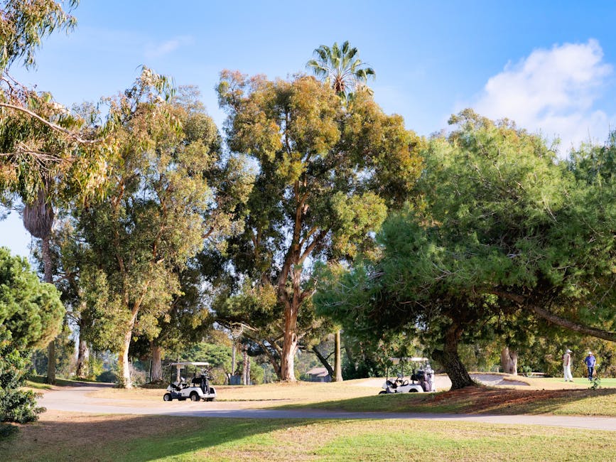 Protecting Green Spaces: Why Local Action Matters